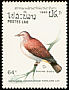 Mountain Imperial Pigeon Ducula badia  1988 Birds 