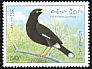 Javan Myna Acridotheres javanicus