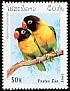 Yellow-collared Lovebird Agapornis personatus  1997 Parrots 