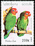 Lilian's Lovebird Agapornis lilianae