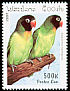 Black-cheeked Lovebird Agapornis nigrigenis  1997 Parrots 