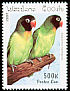 Black-cheeked Lovebird Agapornis nigrigenis