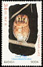 Collared Owlet Taenioptynx brodiei  1999 Nocturnal animals 4v set