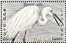 Great Egret Ardea alba