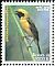 Asian Golden Weaver Ploceus hypoxanthus  2004 Birds 
