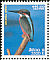 Common Kingfisher Alcedo atthis  2004 Birds 