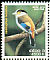 Silver-breasted Broadbill Serilophus lunatus  2004 Birds 