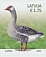 Greylag Goose Anser anser