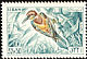 European Bee-eater Merops apiaster  1965 Birds 