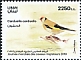 European Goldfinch Carduelis carduelis  2019 World day of migratory birds 