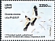 White Stork Ciconia ciconia