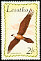 Bearded Vulture Gypaetus barbatus  1971 Birds 