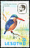 Malachite Kingfisher Corythornis cristatus  1981 Birds p 14½