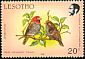 Red-headed Finch Amadina erythrocephala  1988 Birds 