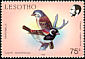 Cape Sparrow Passer melanurus  1988 Birds 