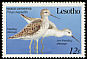 Marsh Sandpiper Tringa stagnatilis  1989 Migrant birds 