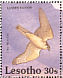 Lanner Falcon Falco biarmicus  1992 Birds Sheet