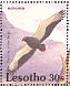 Bateleur Terathopius ecaudatus  1992 Birds Sheet