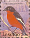 Crimson-breasted Shrike Laniarius atrococcineus  1992 Birds Sheet