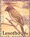 Red-billed Quelea Quelea quelea  1992 Birds Sheet