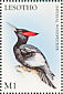 Imperial Woodpecker Campephilus imperialis  1998 Fauna and flora of the world 20v sheet