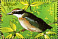 Indian Pitta Pitta brachyura  1999 Birds of the world Sheet