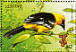 Altamira Oriole Icterus gularis  1999 Birds of the world Sheet