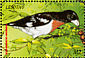 Rose-breasted Grosbeak Pheucticus ludovicianus  1999 Birds of the world Sheet
