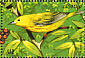 American Yellow Warbler Setophaga aestiva  1999 Birds of the world Sheet