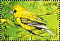 Akiapolaau Hemignathus wilsoni  1999 Birds of the world Sheet
