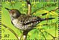 Northern Flicker Colaptes auratus  1999 Birds of the world Sheet