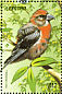 Red Crossbill Loxia curvirostra  1999 Birds of the world Sheet