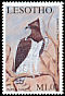 Martial Eagle Polemaetus bellicosus  2001 Birds of prey 