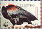 Southern Bald Ibis Geronticus calvus  2004 WWF Sheet with 4 sets