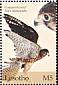 Common Kestrel Falco tinnunculus  2004 Birds 