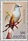 Grey Silky-flycatcher Ptiliogonys cinereus  2007 Beautiful birds Sheet