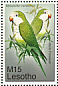 Monk Parakeet Myiopsitta monachus  2007 Beautiful birds  MS MS