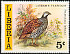 Latham's Francolin Peliperdix lathami  1977 Liberian birds 