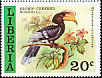 Brown-cheeked Hornbill Bycanistes cylindricus  1977 Liberian birds 