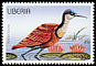 African Jacana Actophilornis africanus  1996 Birds 