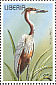 Goliath Heron Ardea goliath  1996 Birds Sheet