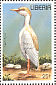 Western Cattle Egret Bubulcus ibis  1996 Birds Sheet