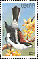 Woodchat Shrike Lanius senator  1996 Birds Sheet