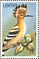Eurasian Hoopoe Upupa epops  1996 Birds Sheet