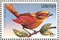 Red-faced Crimsonwing Cryptospiza reichenovii  1996 Birds Sheet