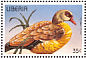 Egyptian Goose Alopochen aegyptiaca  1996 Birds Sheet