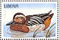 Garganey Spatula querquedula  1996 Birds Sheet