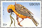 Southern Masked Weaver Ploceus velatus  1996 Birds Sheet