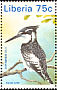 Pied Kingfisher Ceryle rudis  1996 Kingfishers Strip