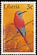 Northern Carmine Bee-eater Merops nubicus  1997 Birds 